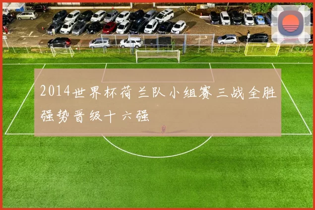 2014世界杯荷兰队小组赛三战全胜强势晋级十六强