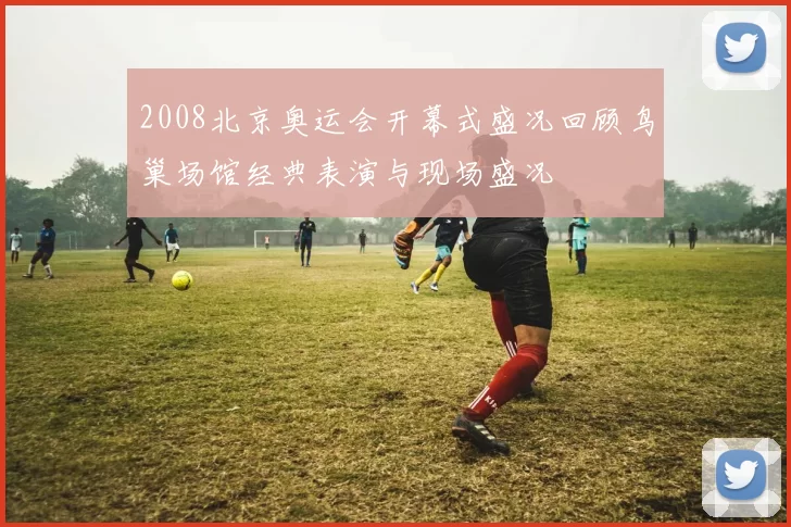 2008北京奥运会开幕式盛况回顾鸟巢场馆经典表演与现场盛况