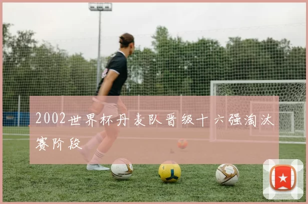 2002世界杯丹麦队晋级十六强淘汰赛阶段