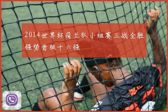 2014世界杯荷兰队小组赛三战全胜强势晋级十六强