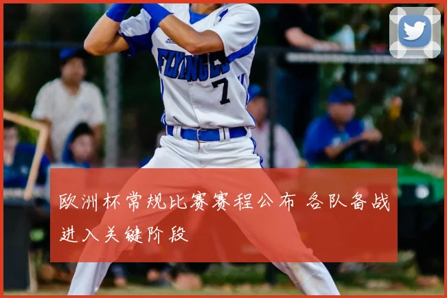欧洲杯常规比赛赛程公布 各队备战进入关键阶段