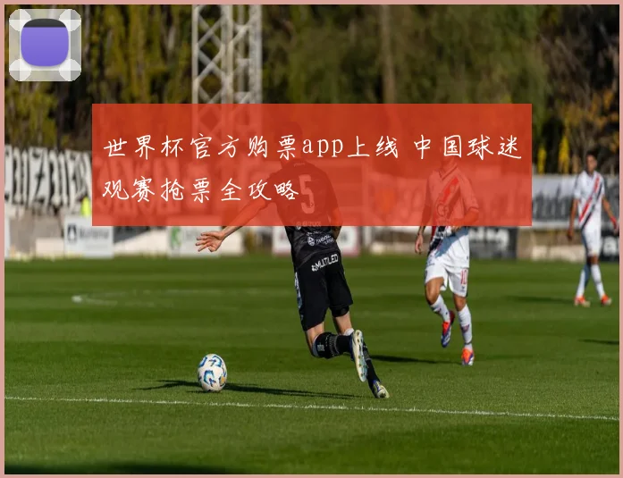 世界杯官方购票app上线 中国球迷观赛抢票全攻略