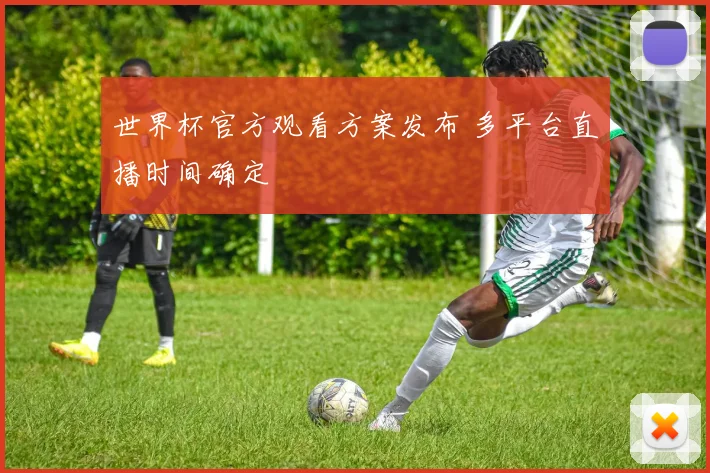 世界杯官方观看方案发布 多平台直播时间确定